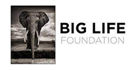 Big Life Foundation logo